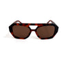 Brown Tortoise/Brown