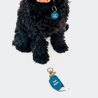 Gus & Co - Dog Tag and Keychain Set Wholesale-Pretty Simple