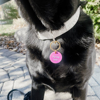 Gus & Co - Dog Tag and Keychain Set Wholesale-Pretty Simple