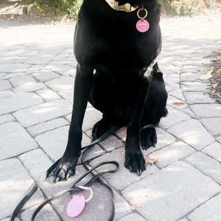 Gus & Co - Dog Tag and Keychain Set Wholesale-Pretty Simple